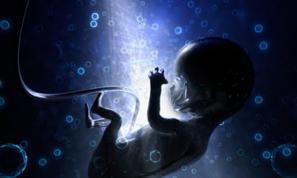 脐带是孕妈咪与宝宝的纽带