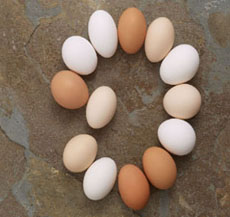 妊娠呕吐或肝胃不和－白糖米醋蛋