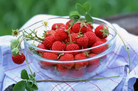 草莓含有极丰富的维生素c
