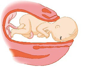 一用力就看到了胎儿的头