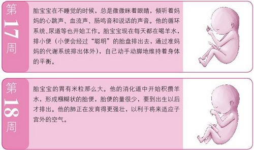 孕5月:胎儿的听力发育越来越完善