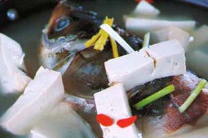 孕期食谱：补脑鱼头汤