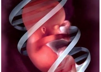 脐带绕颈胎儿会不会有危险？