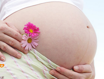 孕妇如何有效避开常见的4种毒素