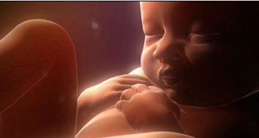 孕期胎儿的感官发育顺序