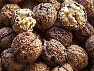 孕妇何时吃核桃