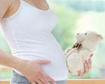 孕中期胎儿发育的正常值