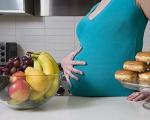 怀孕六个月胎儿营养需求