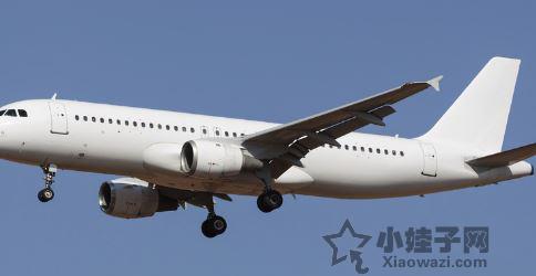 孕妈妈可以坐飞机吗 孕妈妈能坐飞机吗 孕妈妈坐飞机