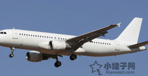 孕晚期可以坐飞机吗 孕期出游 孕期坐飞机要注意什么