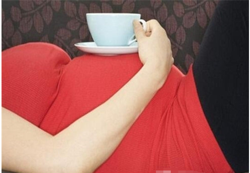 孕妈妈可以喝什么茶