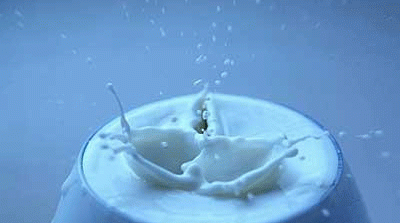 孕妈妈喝羊奶粉的禁忌