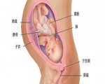 二胎胎儿入盆时间,胎儿入盆时间