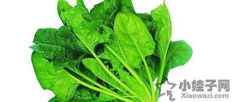 孕妈妈不可以吃什么蔬菜 好有学问